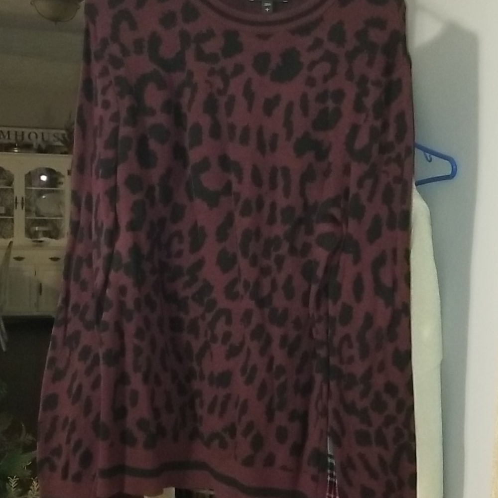 Express sweater
